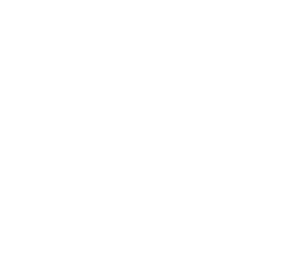 Force Consulting (Pty) Ltd logo